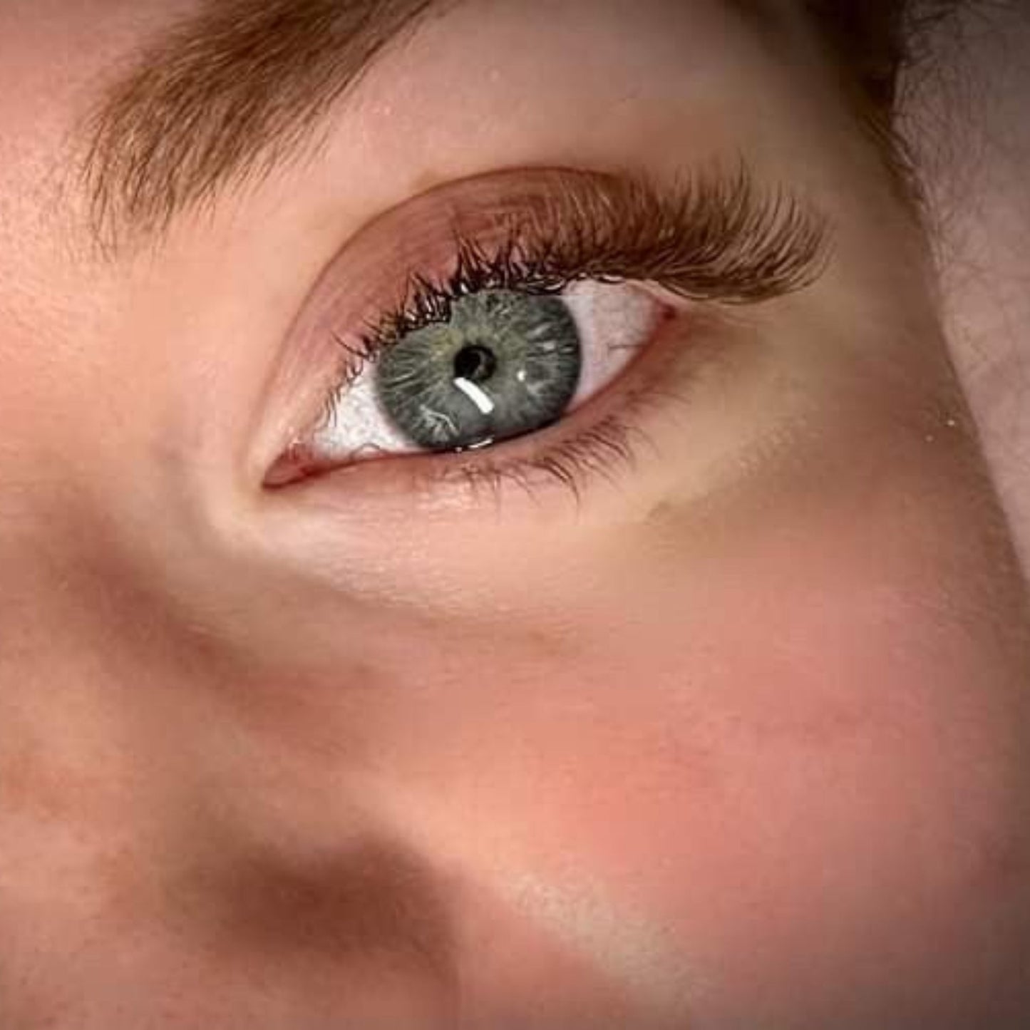 Brown YY Lashes 16 Row Mixed Tray