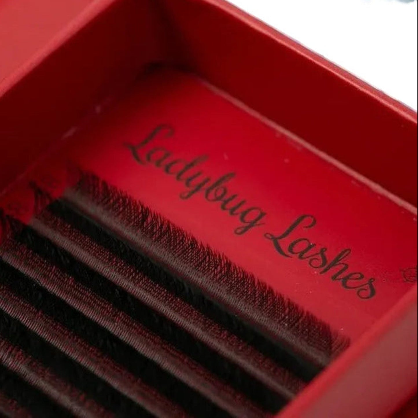 YY Lashes 16 Row Mixed Tray