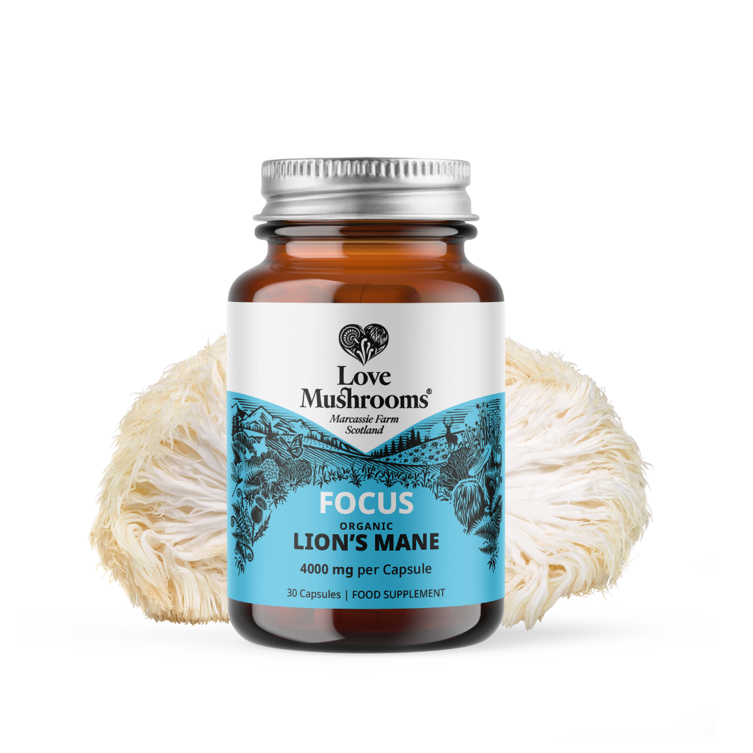 Lion’s Mane Capsules (30) – 4000mg per Capsule