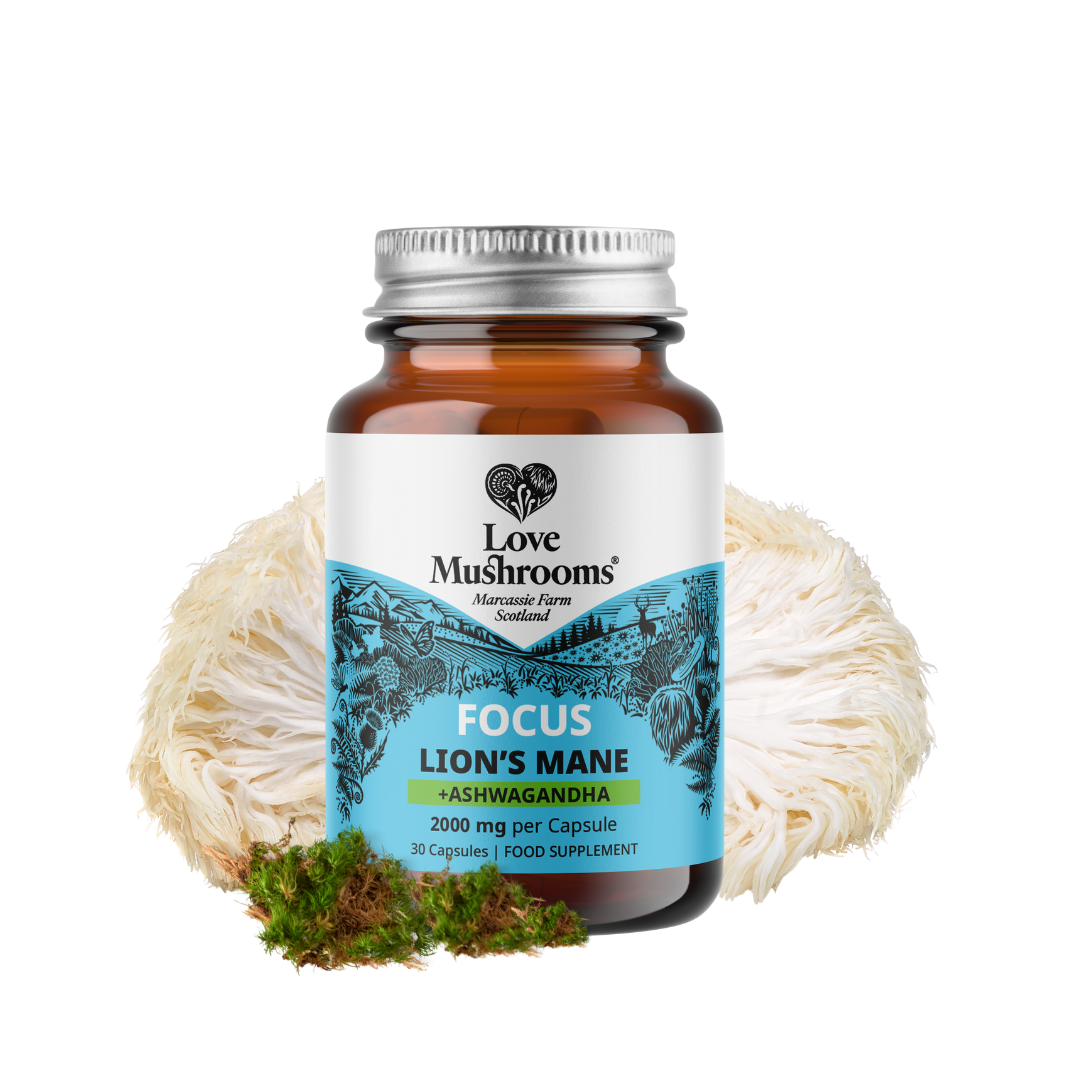FOCUS – Lion’s Mane + Ashwagandha (30 Capsules)