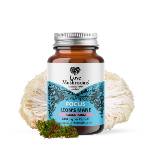 FOCUS – Lion’s Mane + Magnesium (30 Capsules)