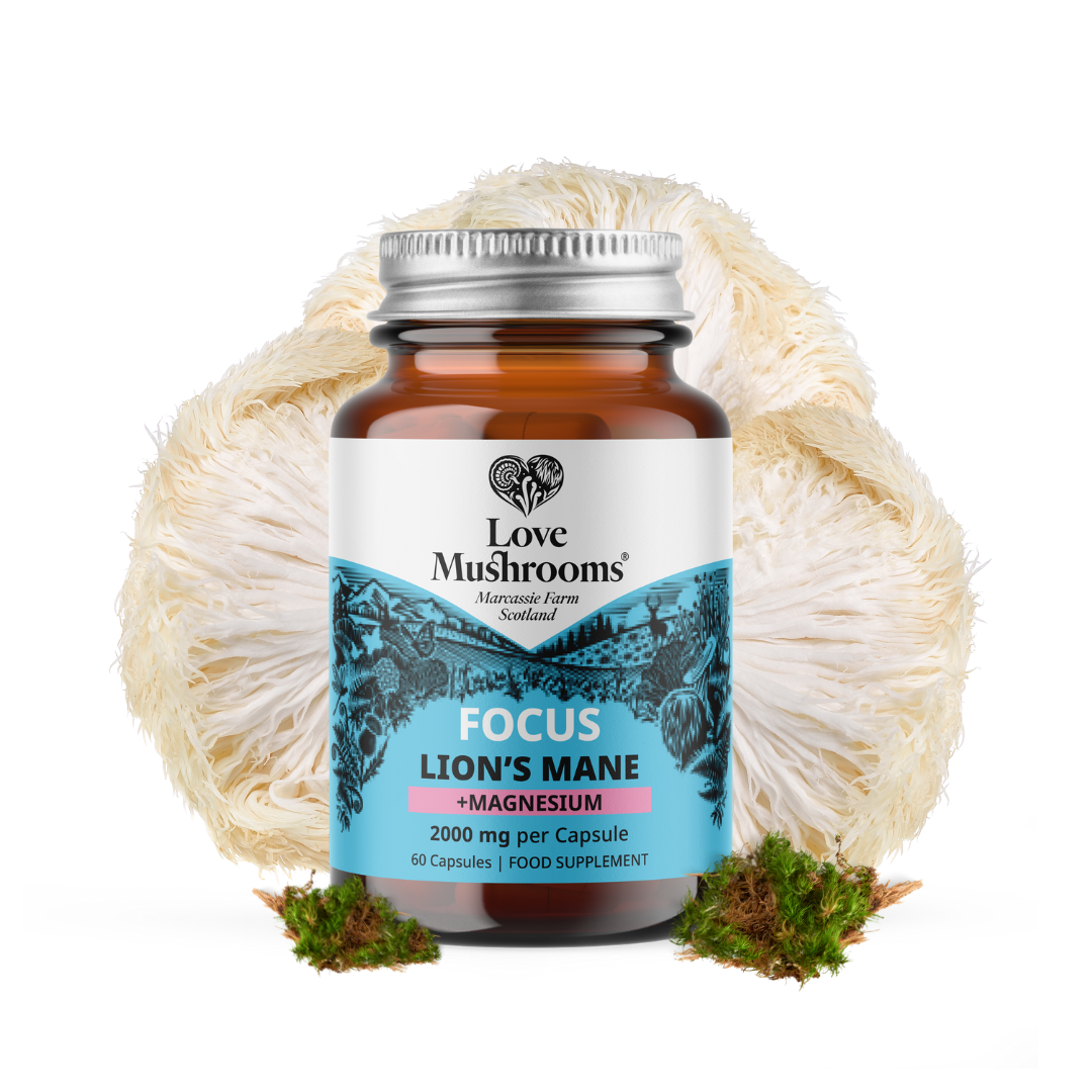 FOCUS – Lion’s Mane + Magnesium (60 Capsules)