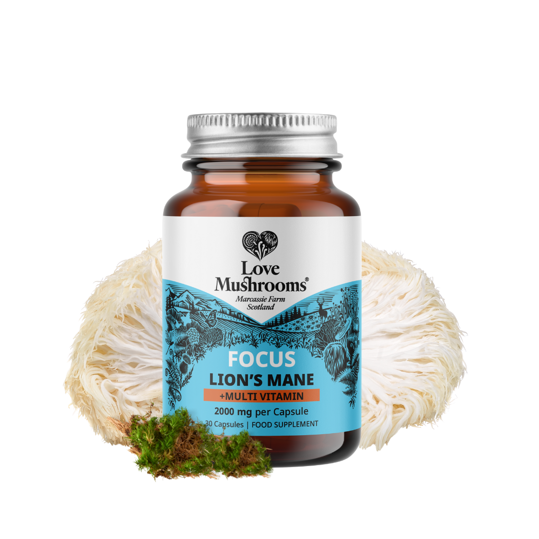 FOCUS – Lion’s Mane + Multivitamin (30 Capsules)