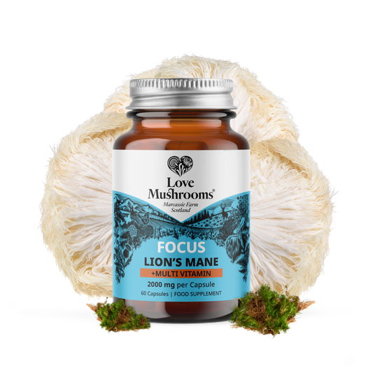 FOCUS – Lion’s Mane + Multivitamin (60 Capsules)