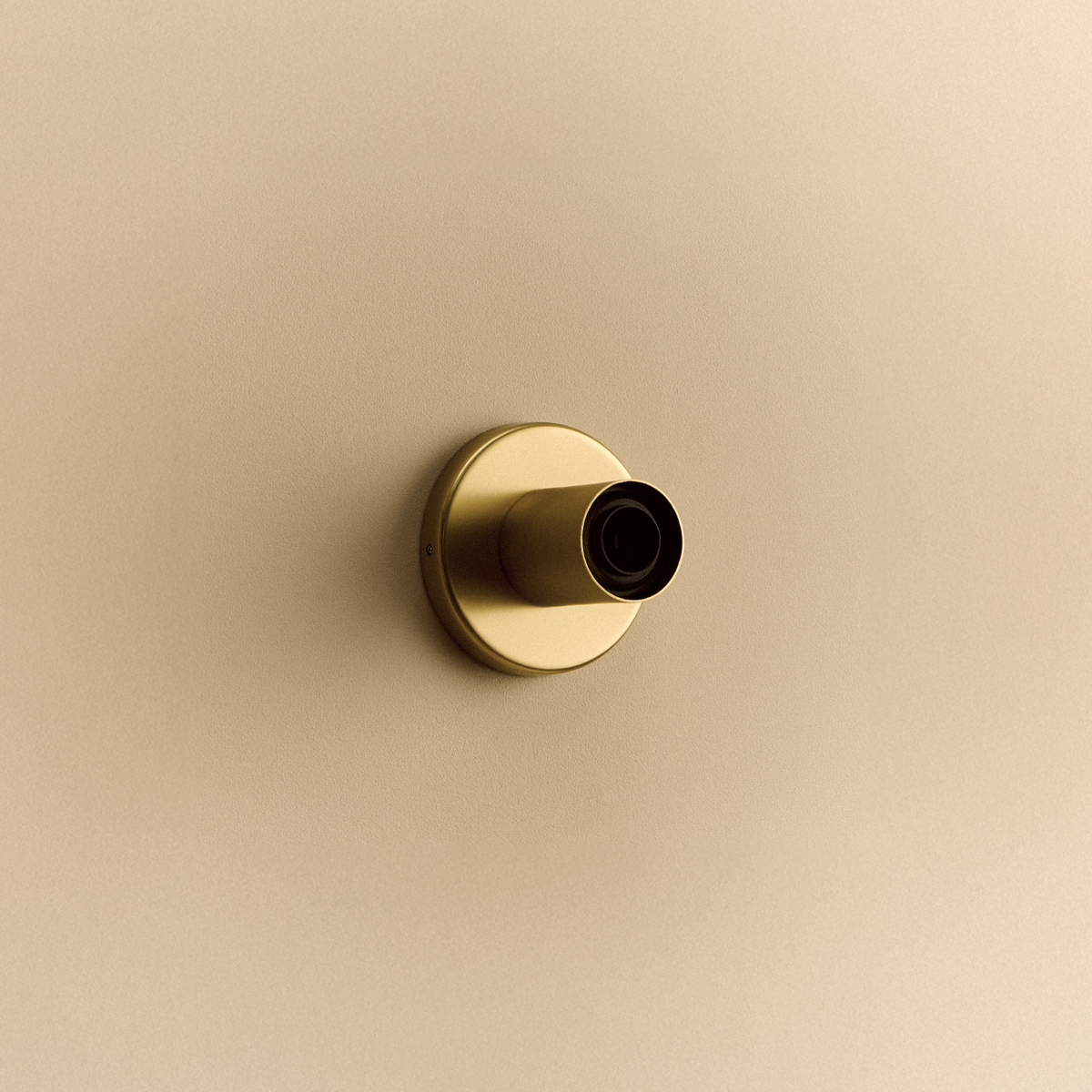 Lochan Wall Light in Brass