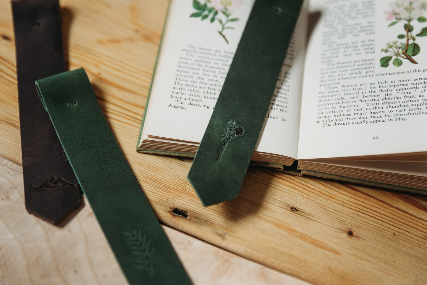 Bookmarks