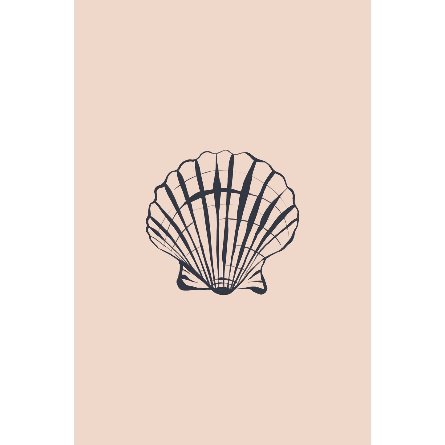 Seashell Print
