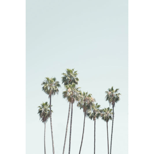 Blue Palm Trees Print