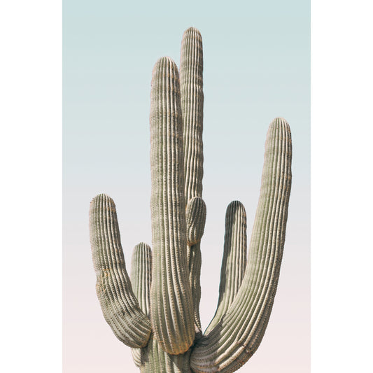 Saguaro Print