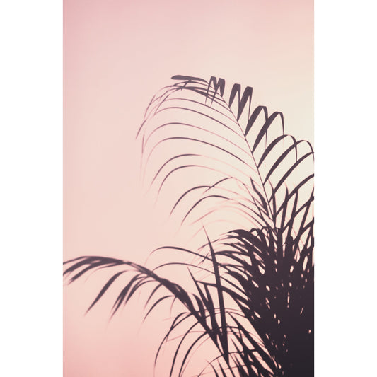 Sunset Palm Leaves Print