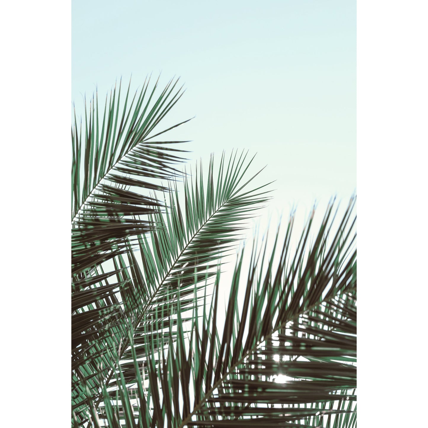 Flowing Palm Leaves Print