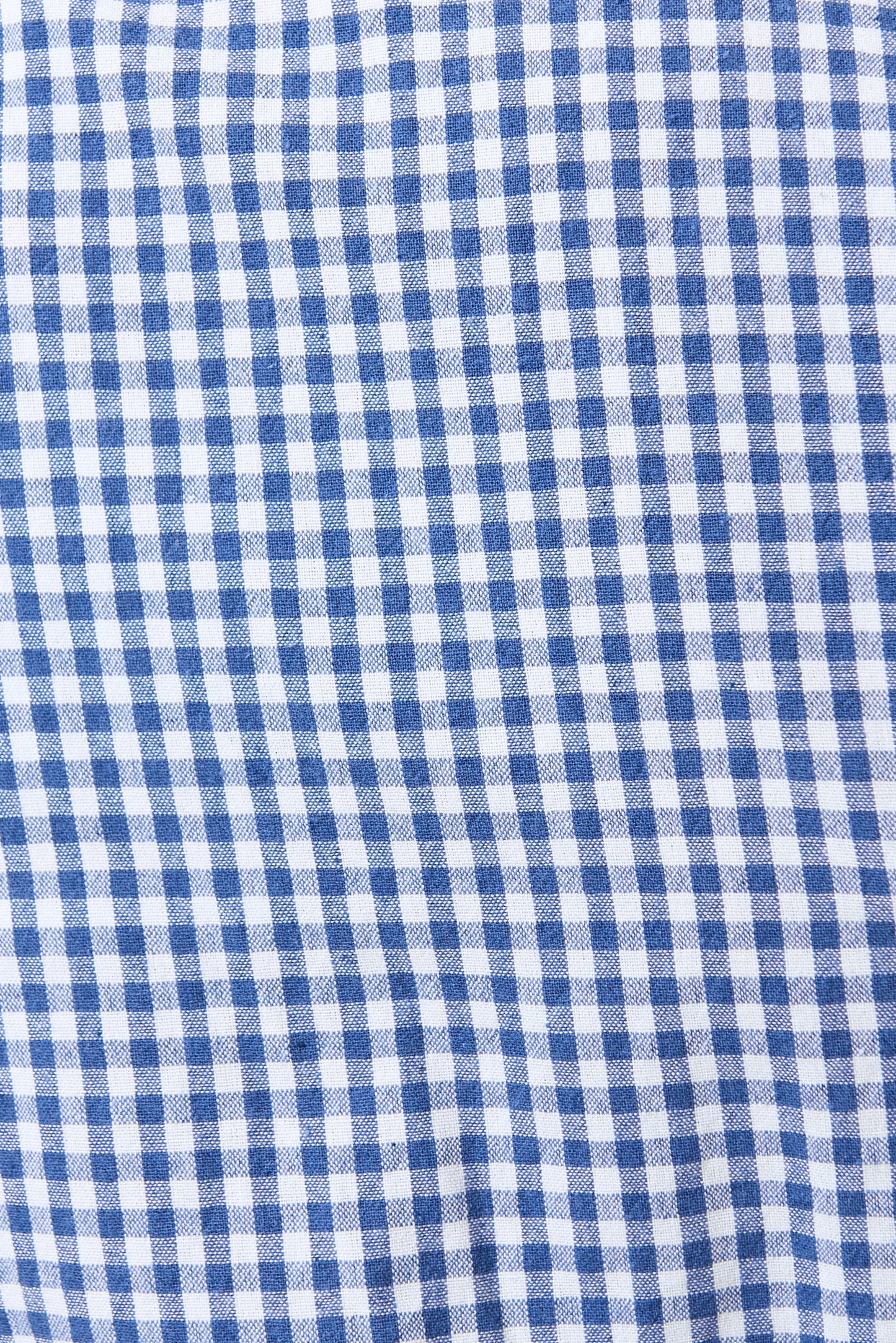 Unity Gingham Ric Rac Trim V-Neck Midi Dress - Blue