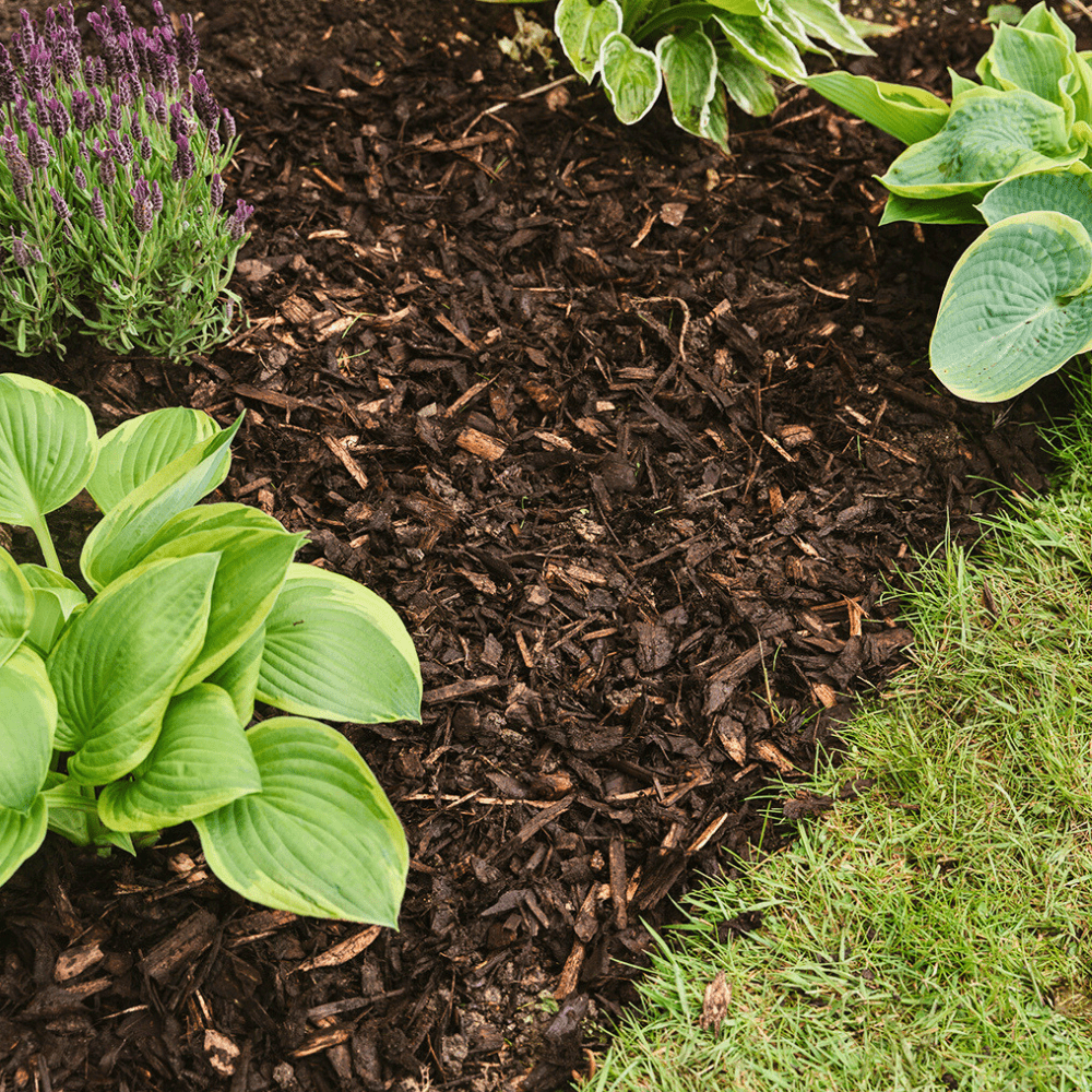 Decorative Mini Bark 70ltr Handy Bags Bulk Buy
