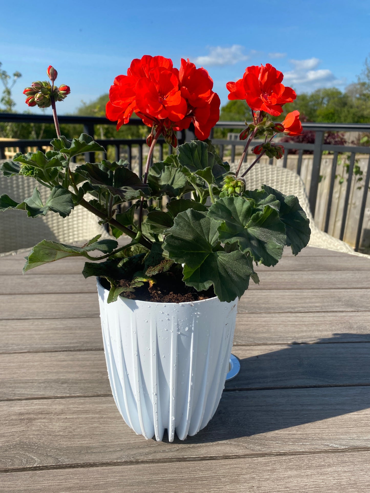 Mira Pot Without Hole 190mm White