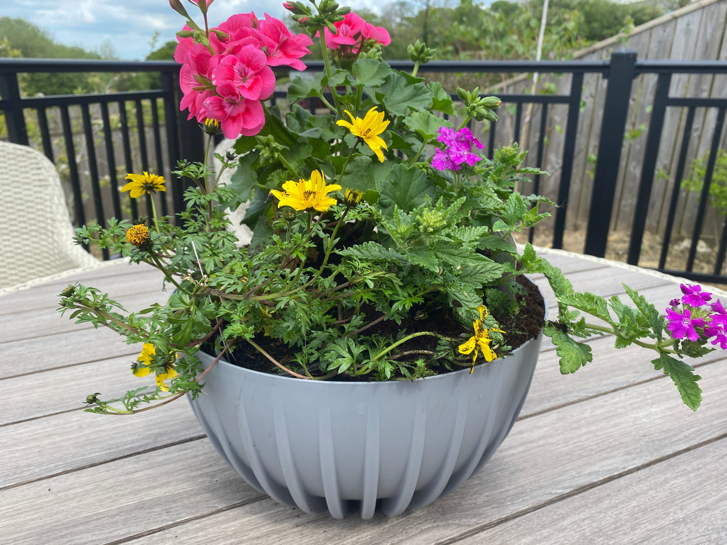 Mira Bowl Pot, Insert and Hole with Plug 300mm Gray