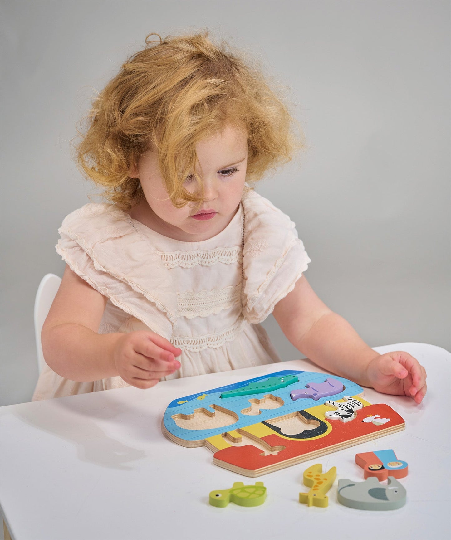 Shape Sorting Ark Tray