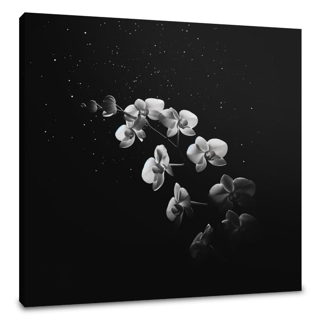 Ethereal Orchid Canvas