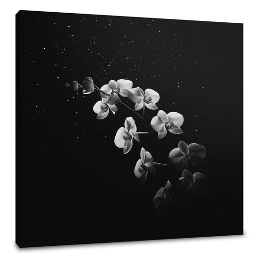 Ethereal Orchid Canvas