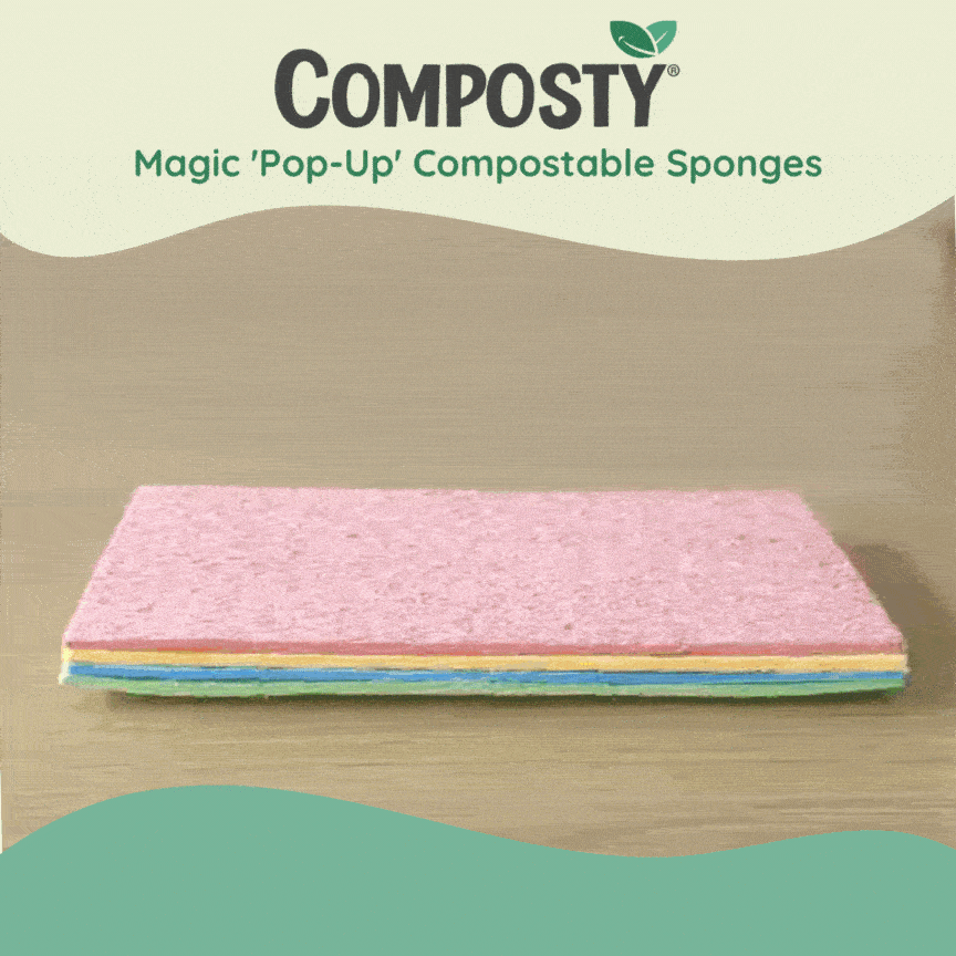 Try-Me Bundle: The Better Sponge Family