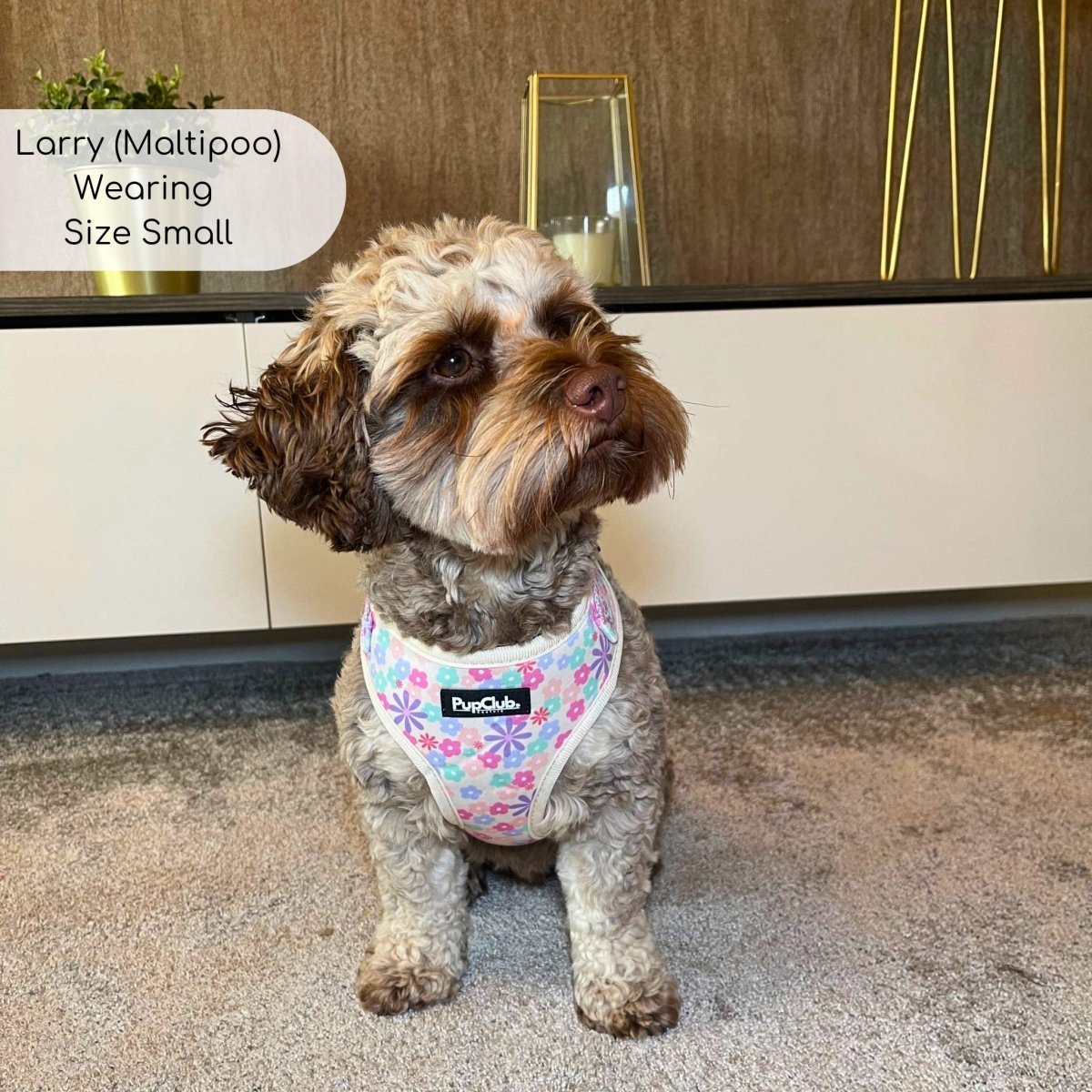 Adjustable Harness - Pretty Petals