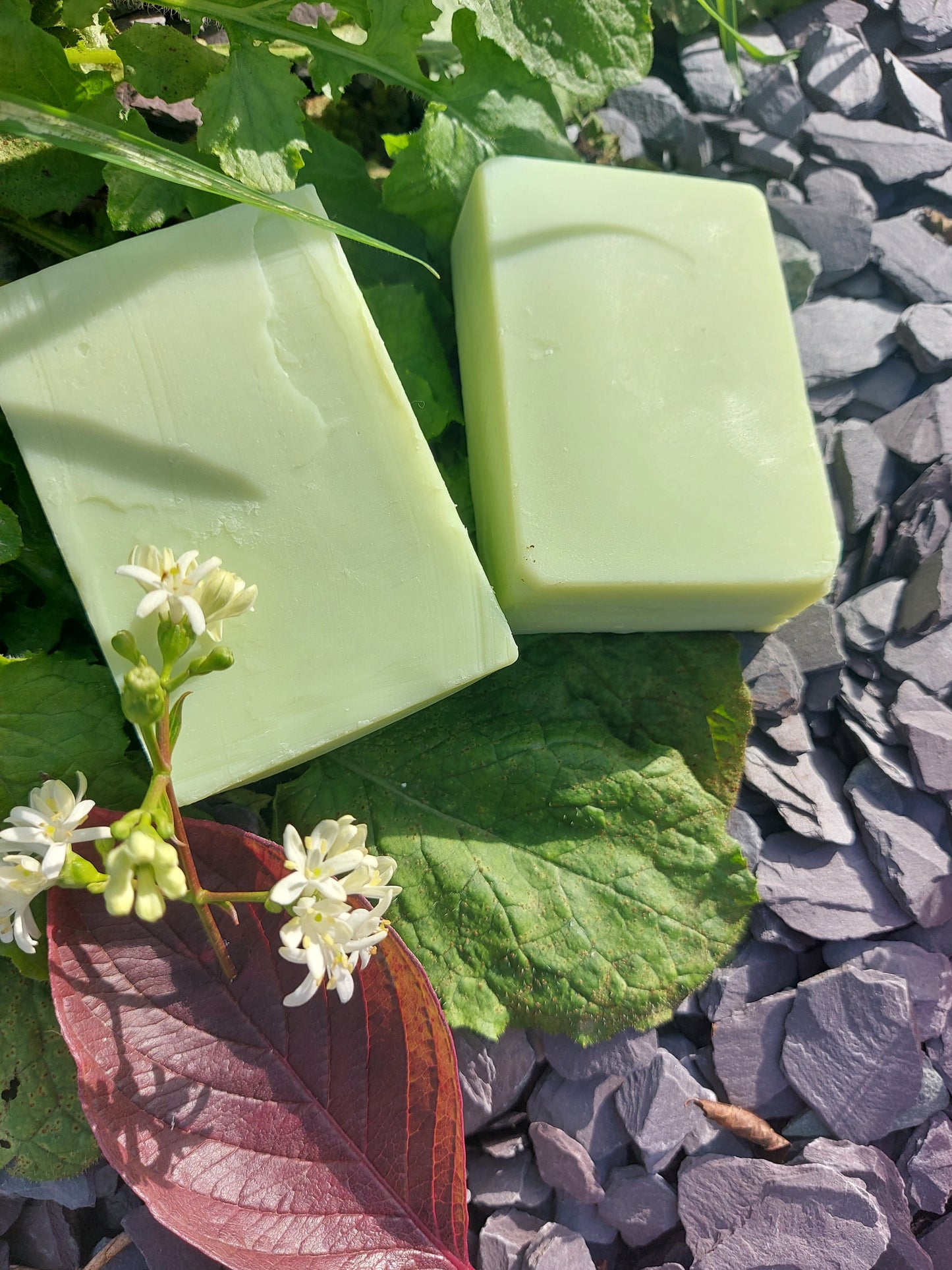 Mango Butter and Lime Soap