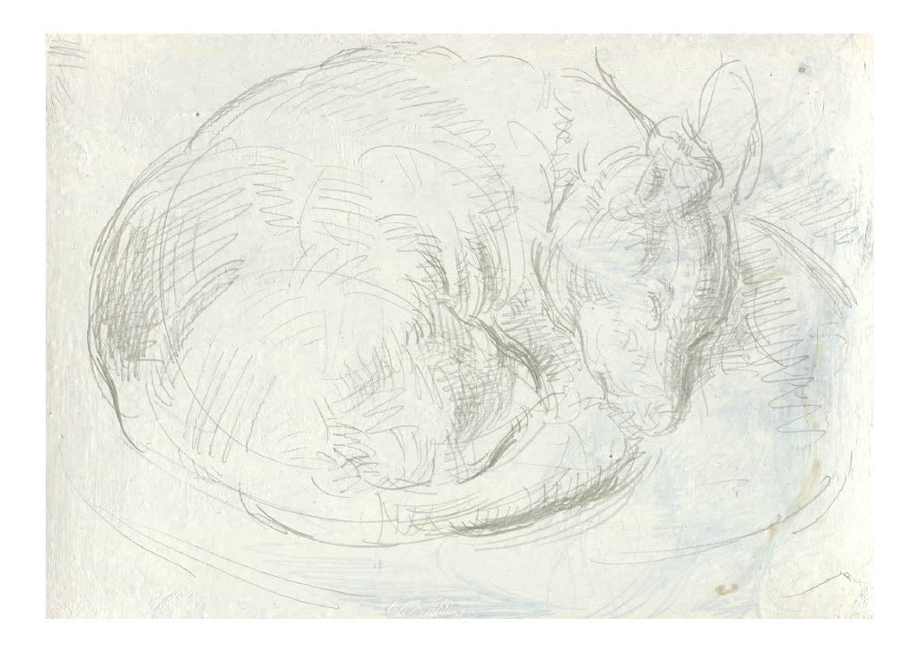 2017 Individual Postcards