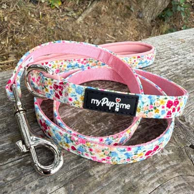 Luxury Blue Meadow Floral Lead by My Pup and Me