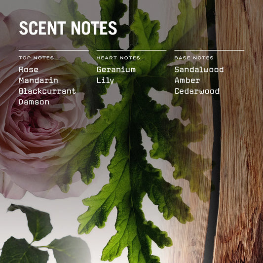 Medina Rose Reed Diffuser