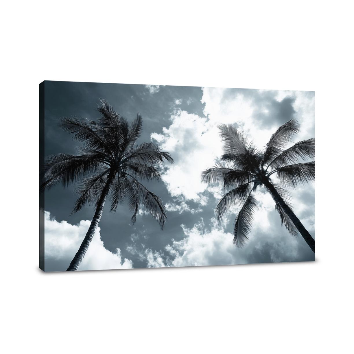 Palm Silhouette Canvas