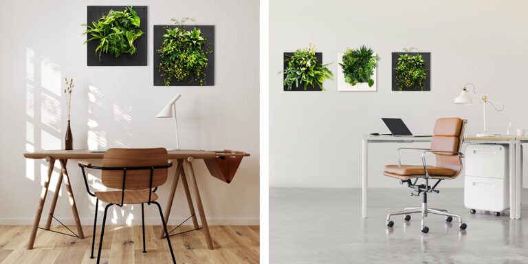 Bamboo Living Wall Picture Frame - Black