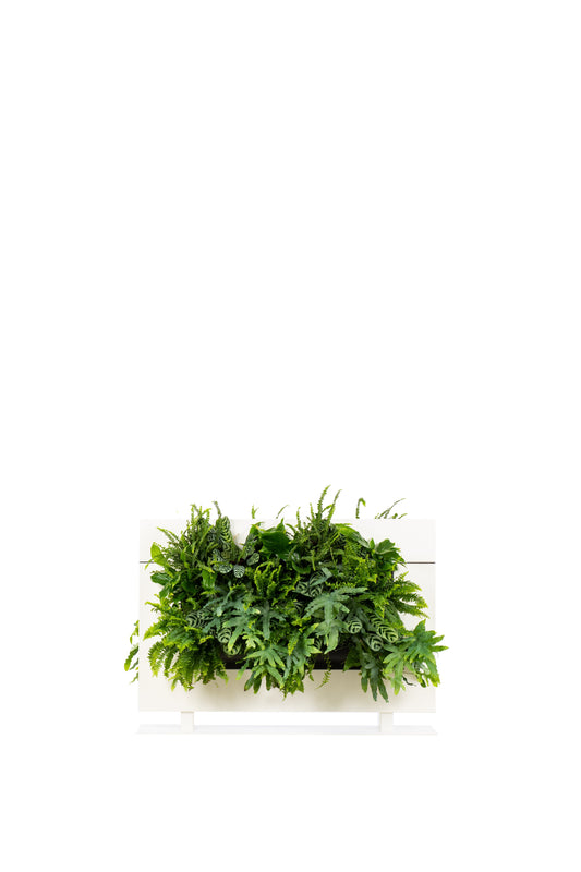 Living Wall Divider - 81cm - White