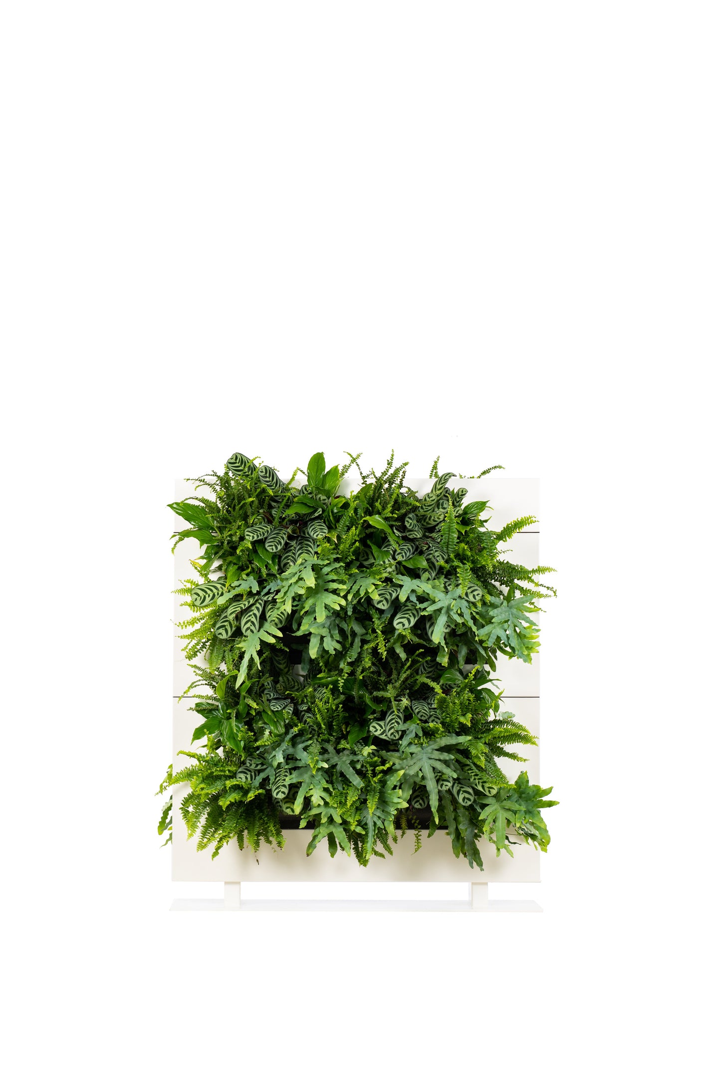 Living Wall Divider - 131cm - White