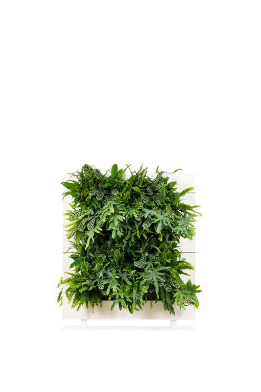 Living Wall Divider - 131cm - White