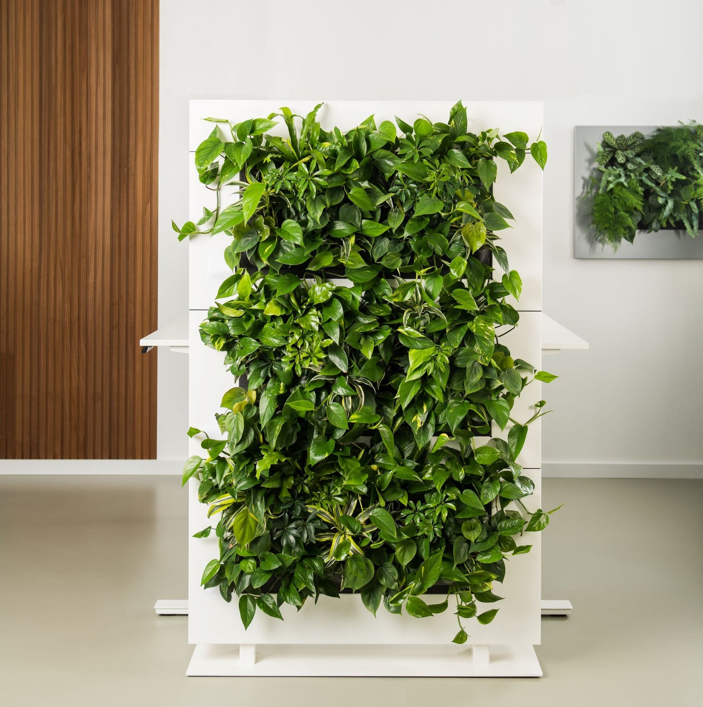 Living Wall Divider - 131cm - White