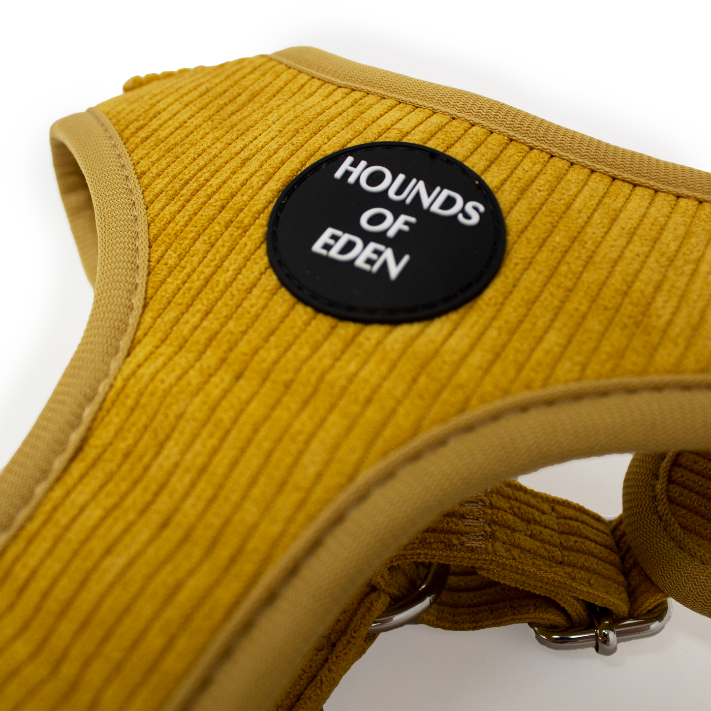 Mustard Yellow Corduroy Collar