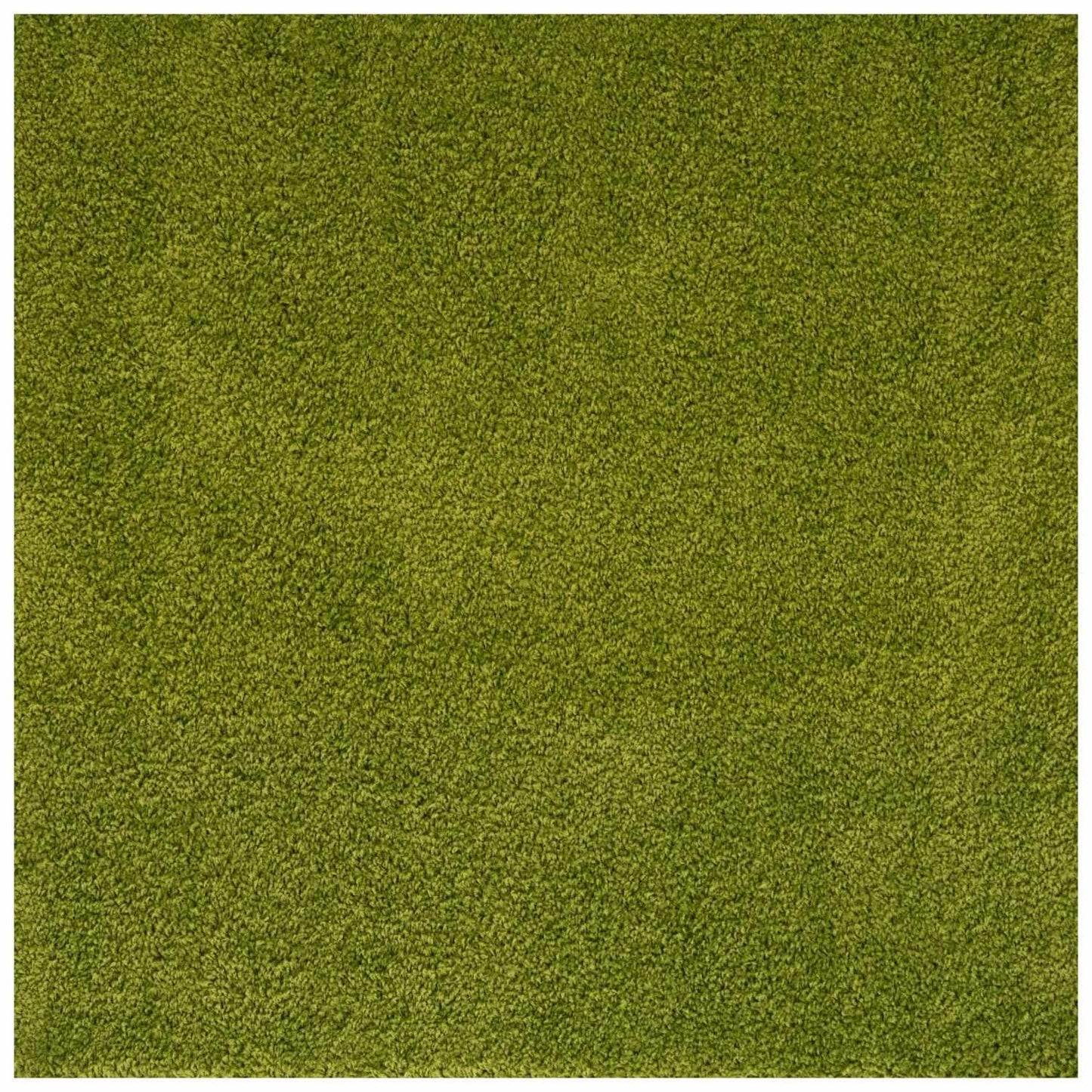 Myshaggy Solid Green Rug