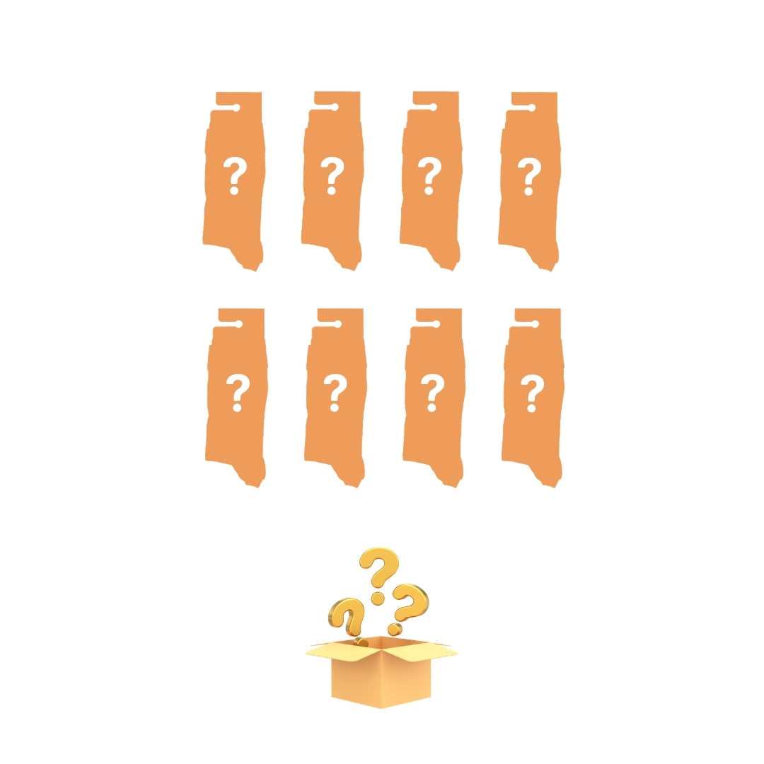 Winter Mystery Bundle of 8!