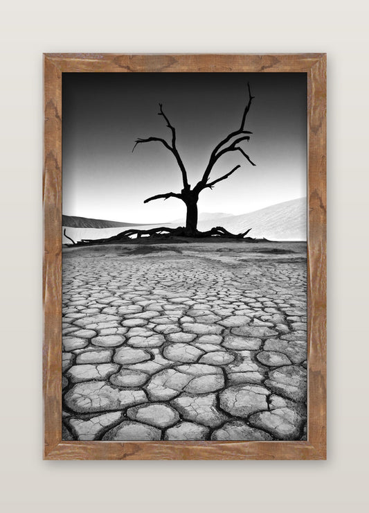 David Ballam - Namibia 03