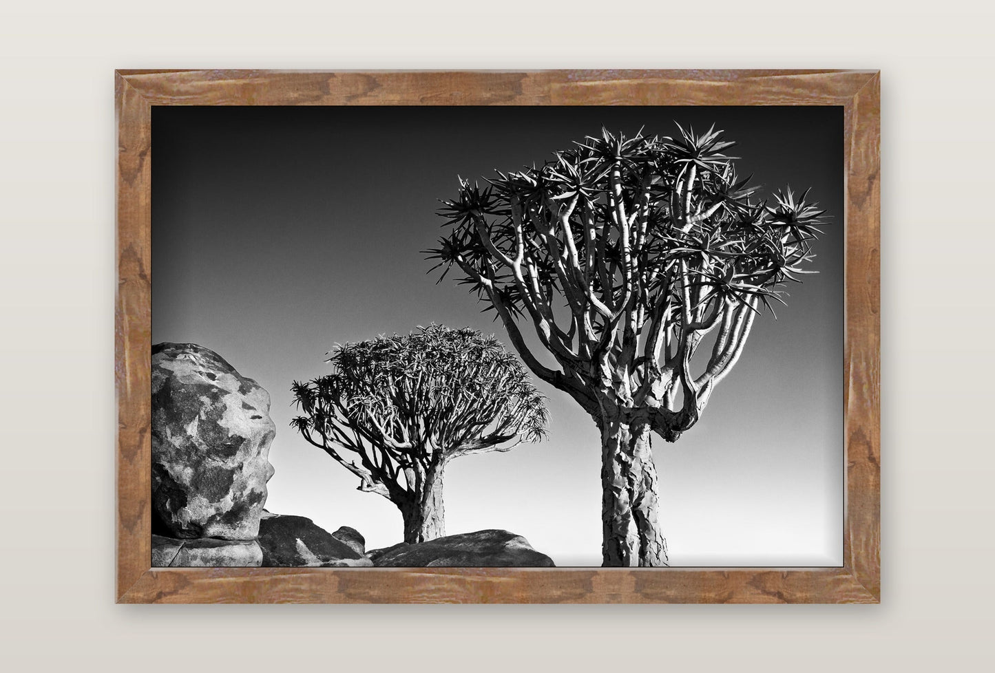 David Ballam - Namibia 17