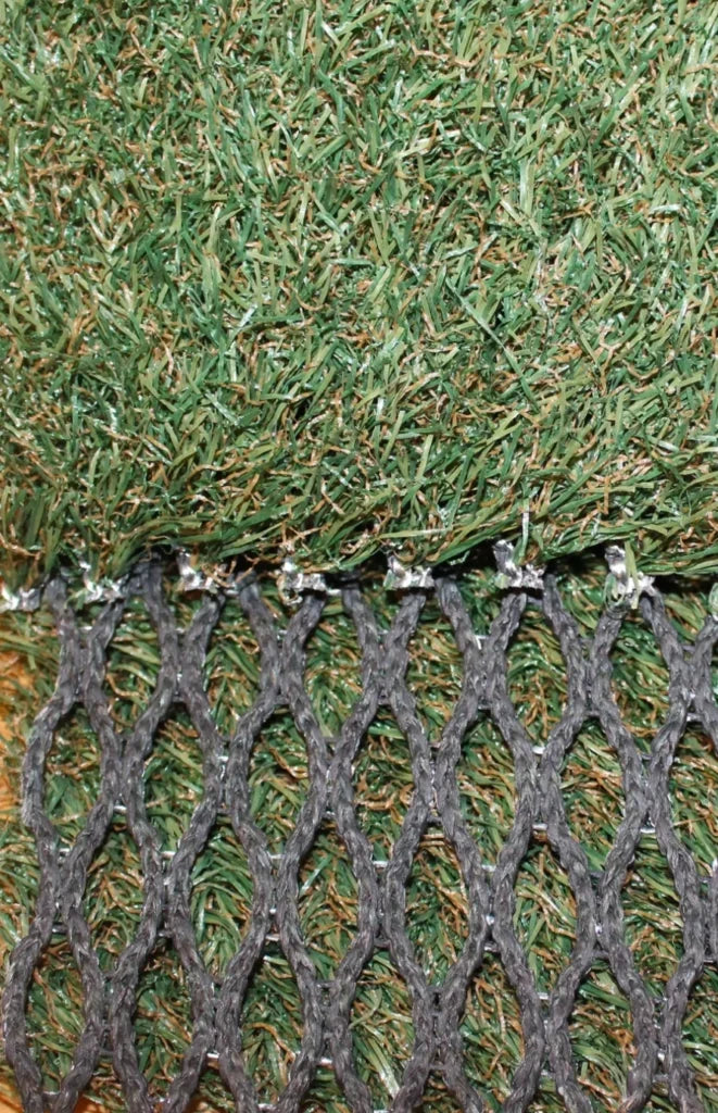 County Hybrid 22 Grass