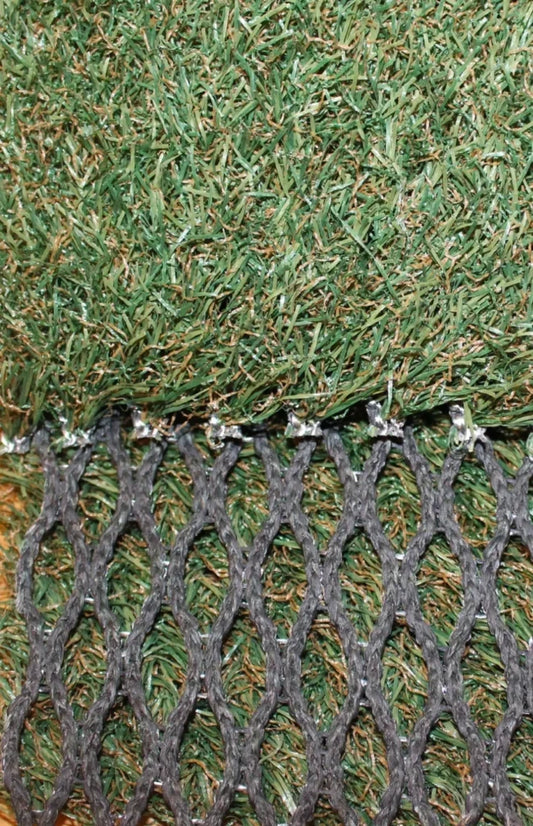County Hybrid 22 Grass