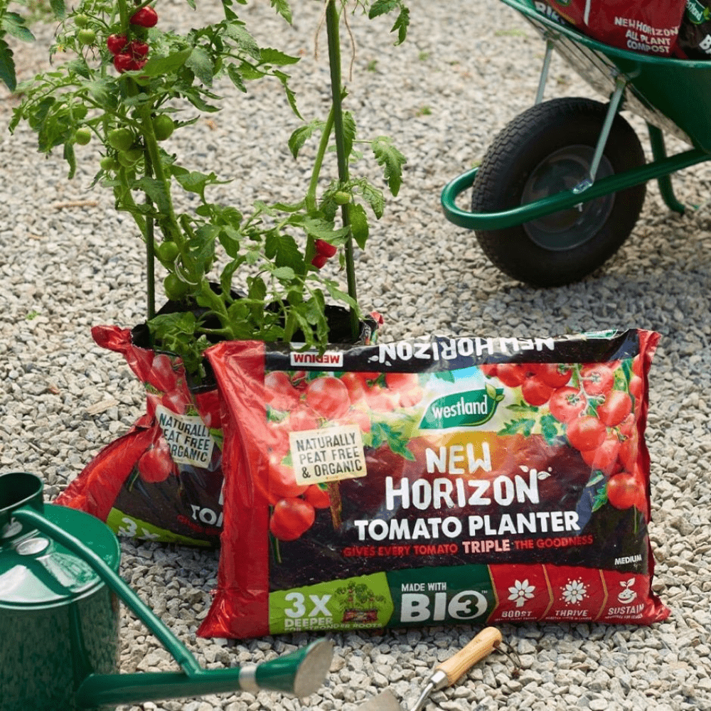 New Horizon Tomato Planter Bulk Buy