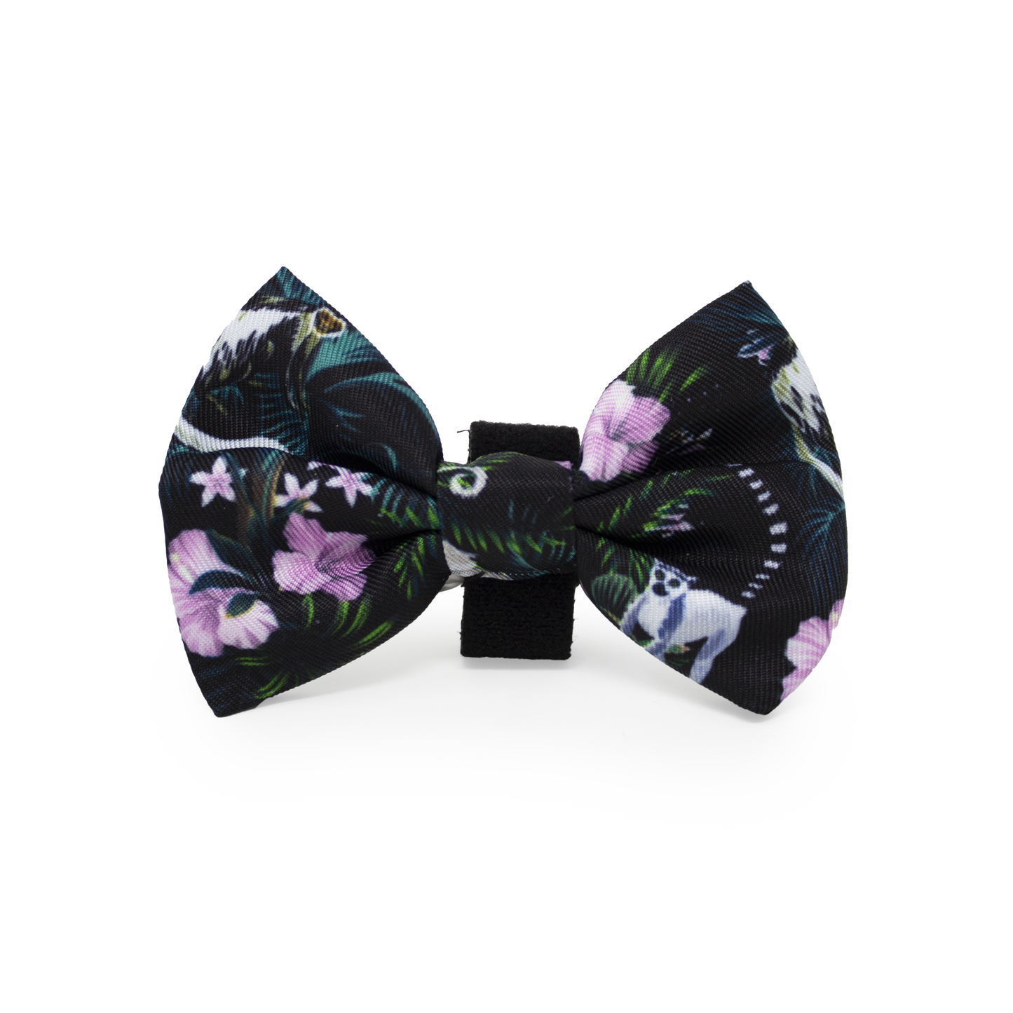 Midnight Madagascar Design Dog Collar
