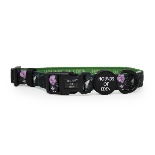 Midnight Madagascar Design Dog Collar