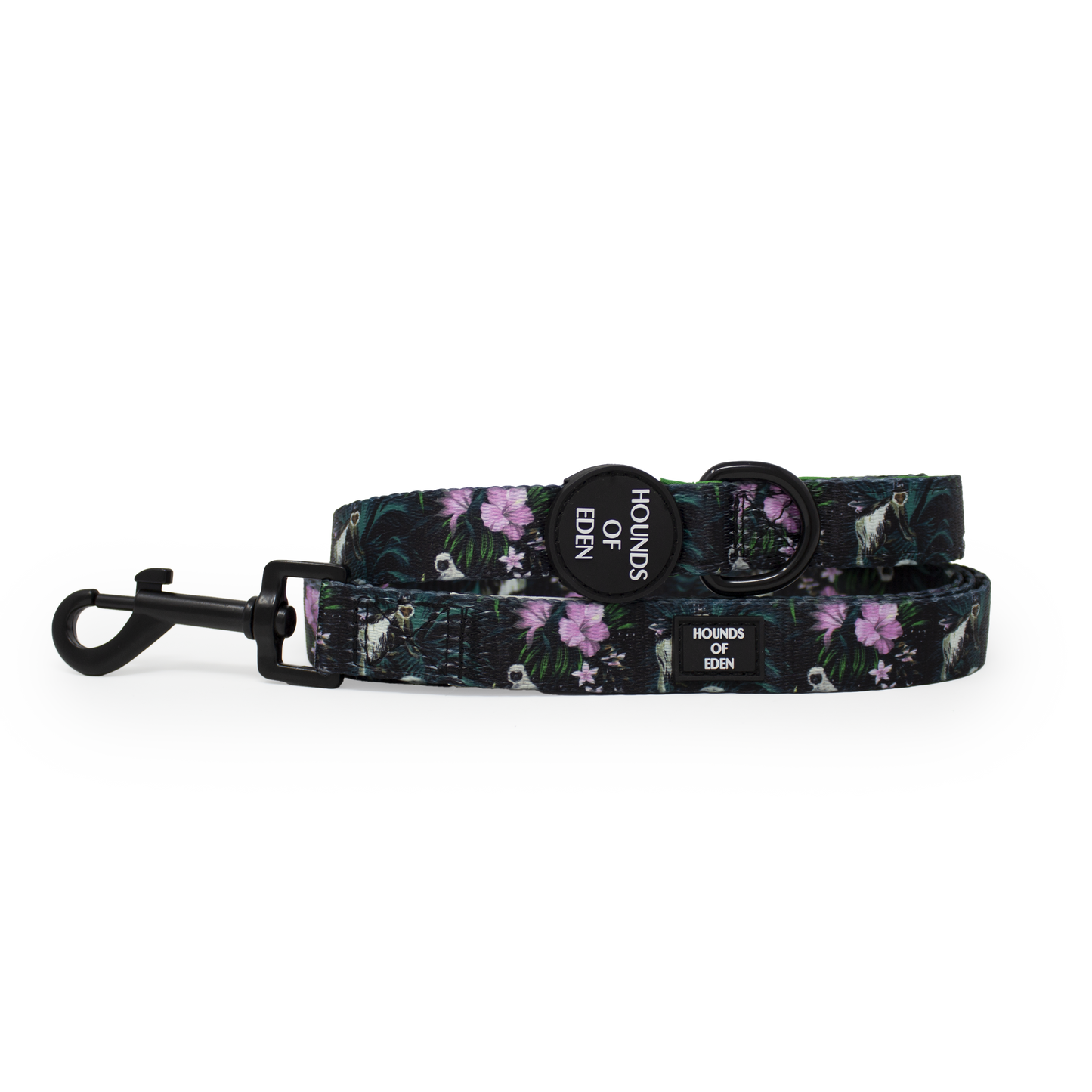 Midnight Madagascar Design Dog Collar
