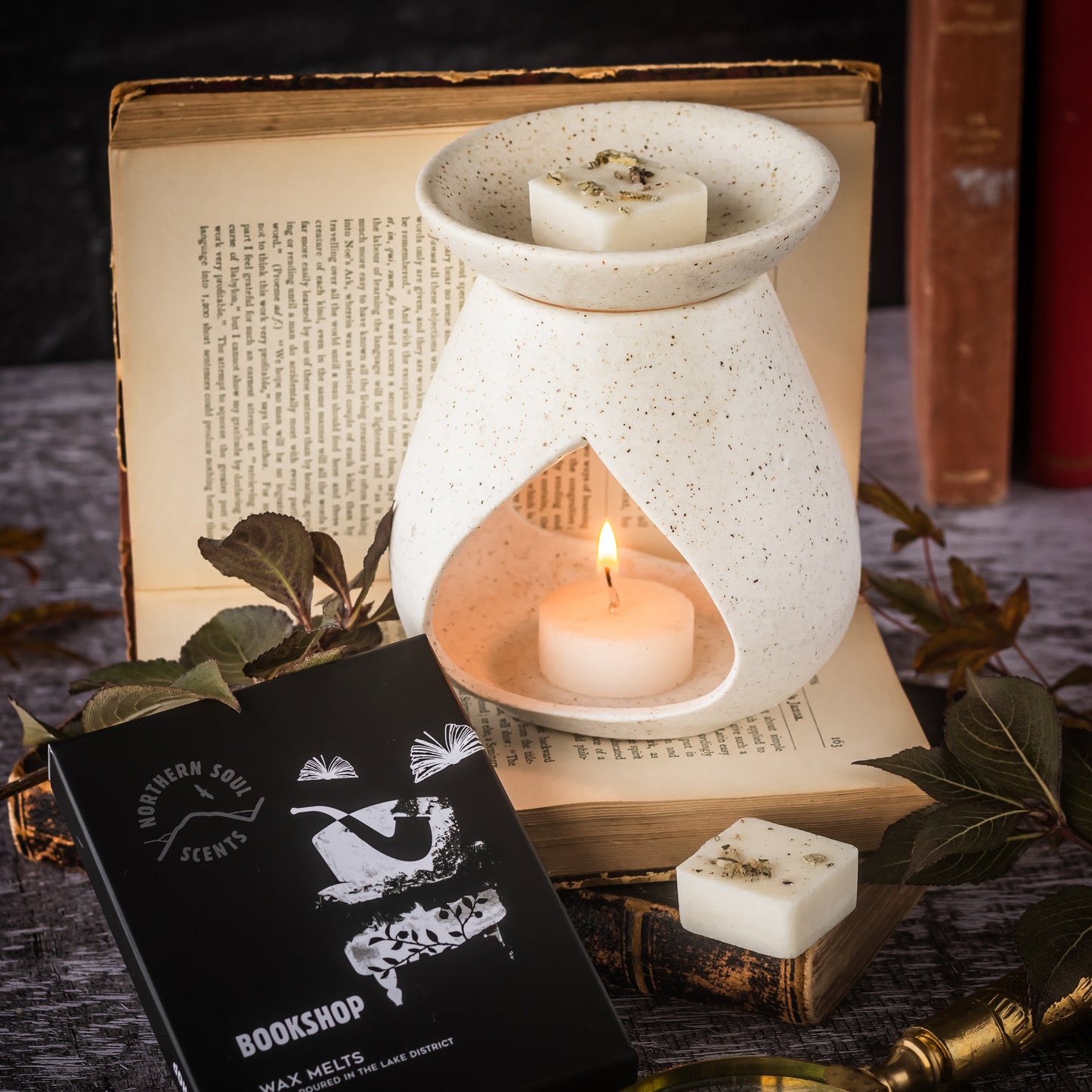 Bookshop Wax Melts
