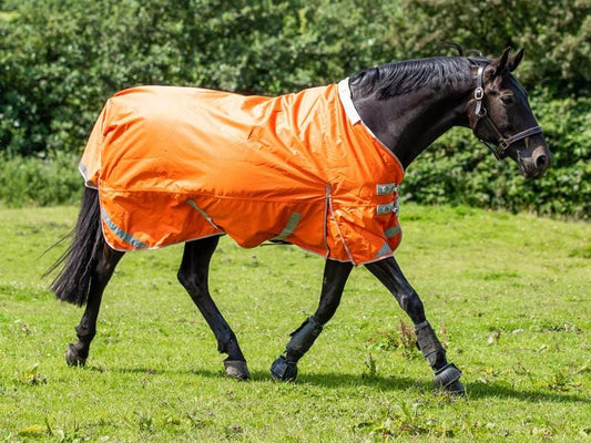 0g Detachable Neck Turnout Rug - Orange