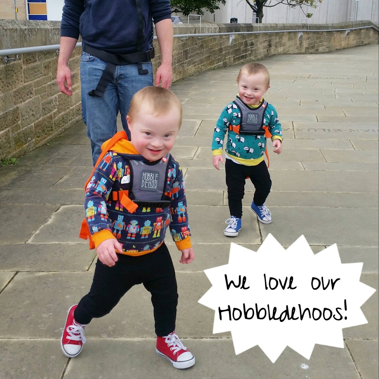 Original Hobbledehoo