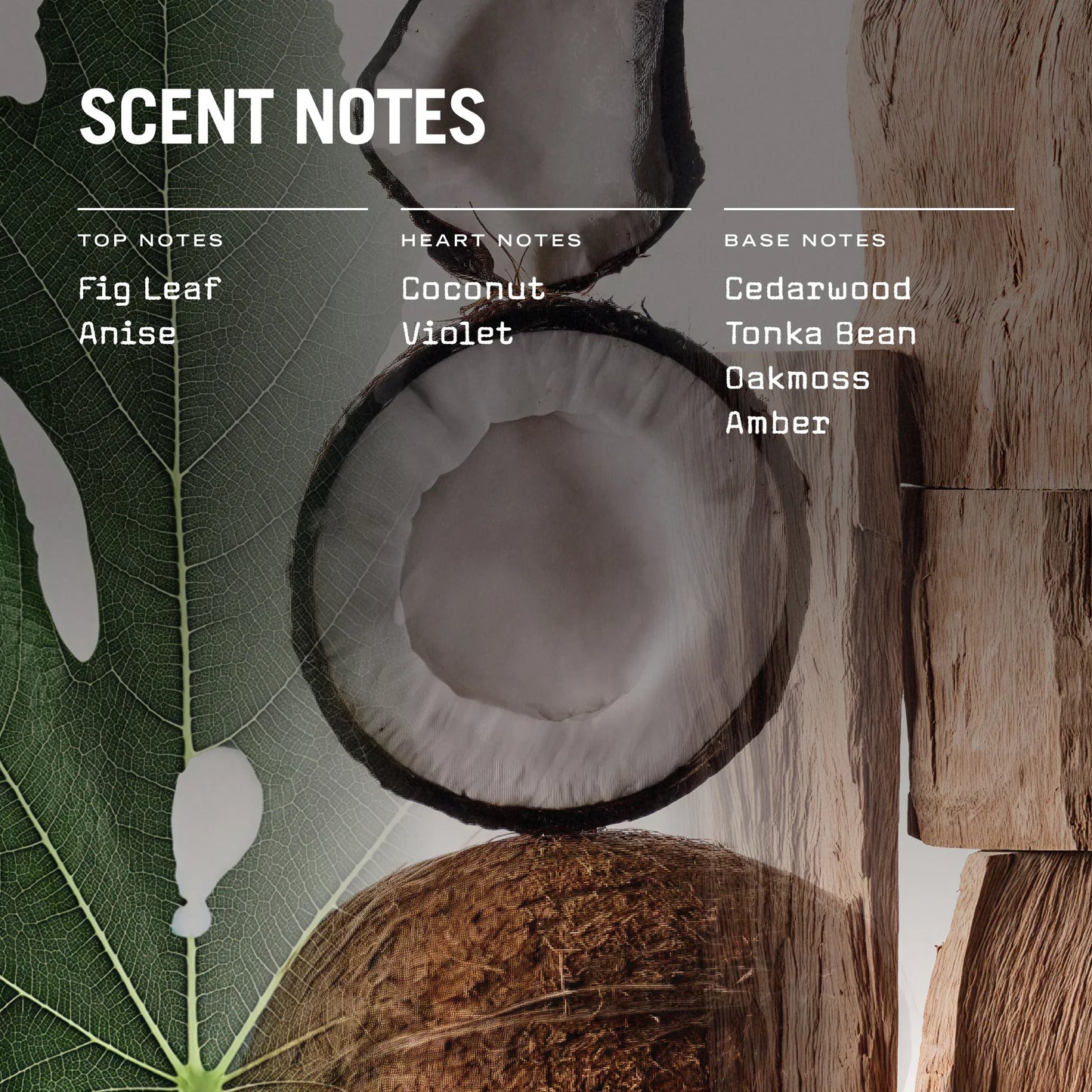 Opulence Reed Diffuser