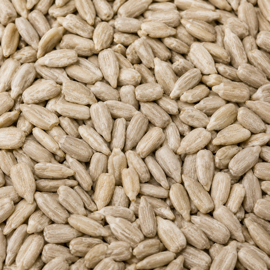Organic Sunflower Seeds